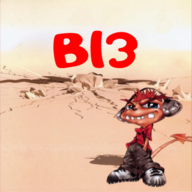 B13